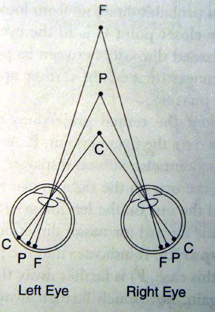 3. Depth from binocular disparity P: converging point C: object nearer projects to the outside of the P,
