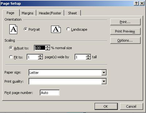 PRINTING File Page Setup Page Select portrait or landscape orientation Scaling allows you to adjust the size of the spreadsheet on the printed page.