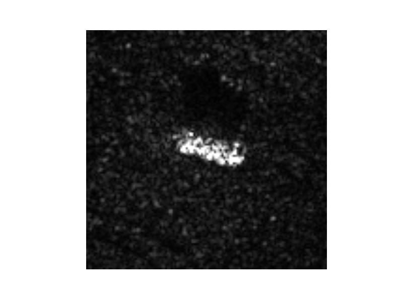 SAR images, despite using a simple simulation procedure. In Figure 1 an image from the MSTAR dataset can be seen together with a simulated image from our dataset.
