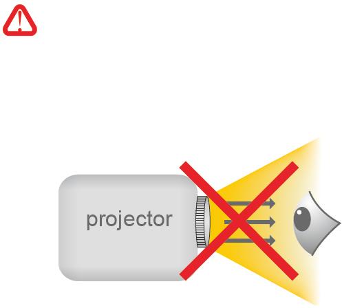 Care and Safety Information for Projectors: Please follow all warnings, precautions and maintenance as recommended in this user s guide.