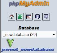 If you are still unsure as to what it is, take a look in the left column. Your username is the prefix of your WordPress database. Notice how mine is jrivnet.