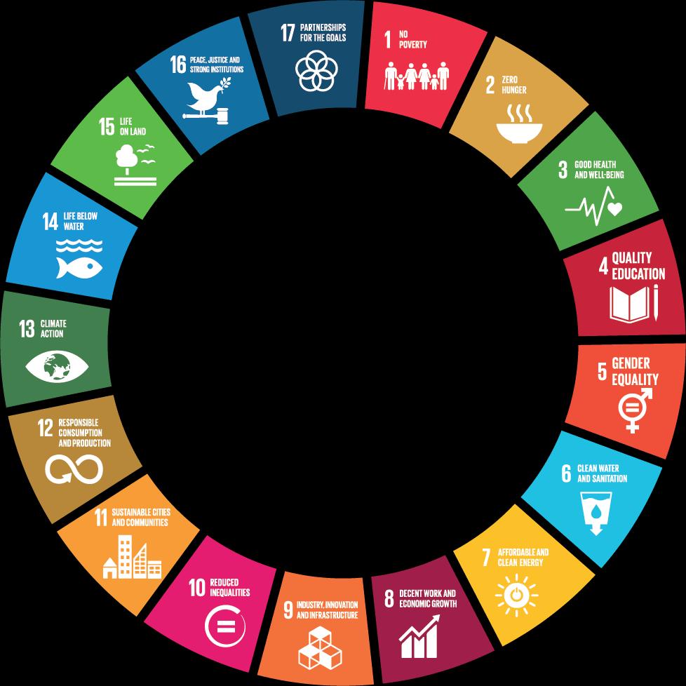 Why ICT4SDGs Concept developed Objectives: