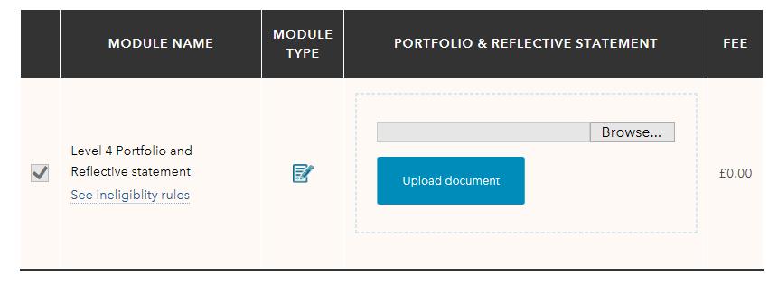 To submit your portfolio and reflective statement, you will need to upload the document to the system.