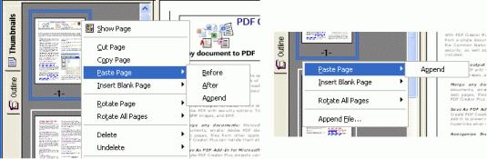 Inserting Pages New blank pages can be inserted into the project at any point, and any existing pages copied to the clipboard can be pasted into the project.