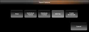 Exporting Evidence Exporting an AVI video clip Audio-included, single-camera AVI clips have relatively small file sizes, allowing for electronic distribution of evidence across multiple platforms.