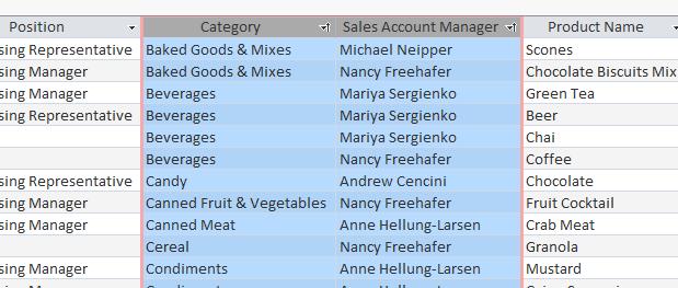 This time the Category field is sorted alphabetically first and the Sales Account Managers second.
