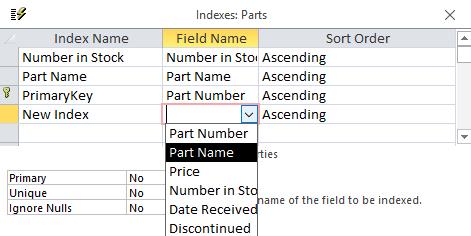 In the Index Name column, type New Index and press the Enter key to move to the Field Name column, as illustrated.