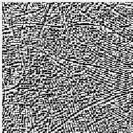 162 (a) (b) Figure 5.14(a) LBP features (b) LBP histogram 5.5.4 Extraction of Lines and Ridges The lines and ridges are unique for each palmprint image.