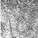 The principal lines will be more prominent in palmprint images. The enhanced image is sharpened to highlight the line features. Palmprint image is sharpened using unsharp masking.