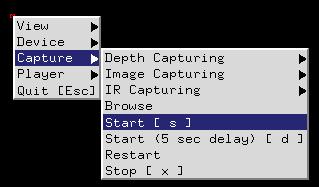 Mouse right ->Capture->Start or press [s] key Step2.