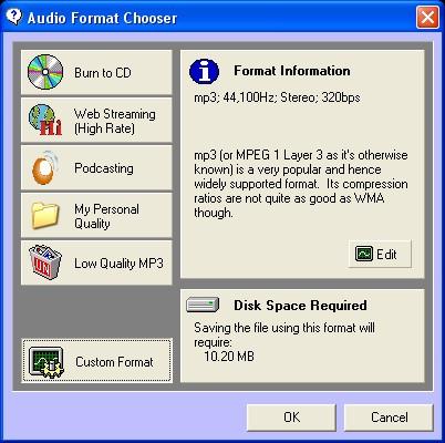 You will see that the Format Information Panel will be updated to display you selected Custom Format. To begin extracting the audio file, click on Ok.