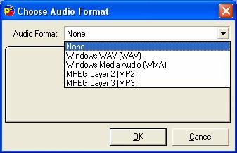 First use the Audio Format drop down list to select the audio format (compression scheme) that you wish to use.