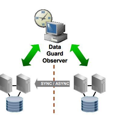 Data Guard Run Primary, Standby, and Observer in separate ADs.