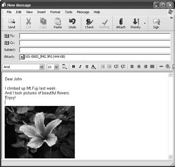 computer, adding text, such as titles, adding background music or applying various special effects.