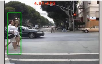Pedestrian Detection DNN Deployment on ARM Processor ARM