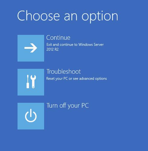 After the failed server has booted, the following screen appears. Choose Troubleshoot to start the advanced options menu.