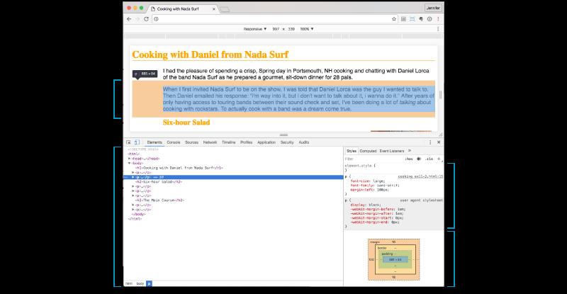Browser Developer Tools (cont d)