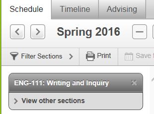 Select the Schedule tab and use the forward arrow to progress to