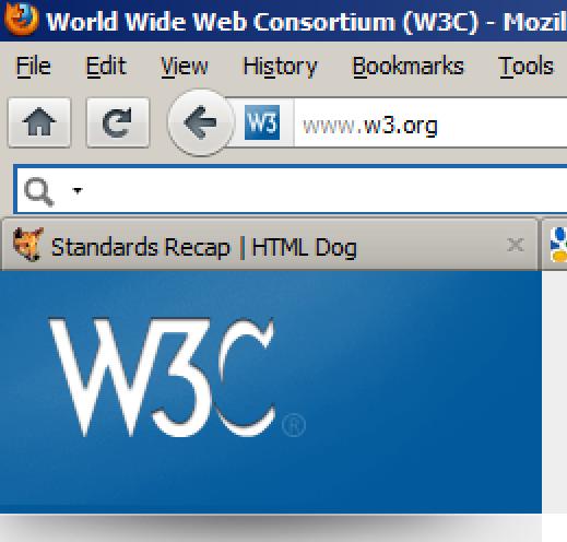 W3C Founded in 1994 World Wide Web Consortium Creates pecifications and guidelines that are intended to promote the web s evolution and ensure that