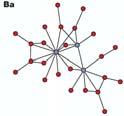 Random Networks [Erdos and Rényi (1959,
