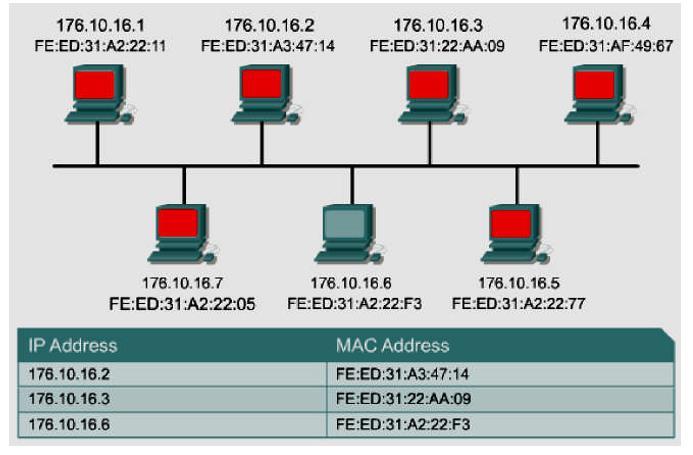 Figure 41 LAN Transmission Address Resolution Issues Computer 176.10.16.