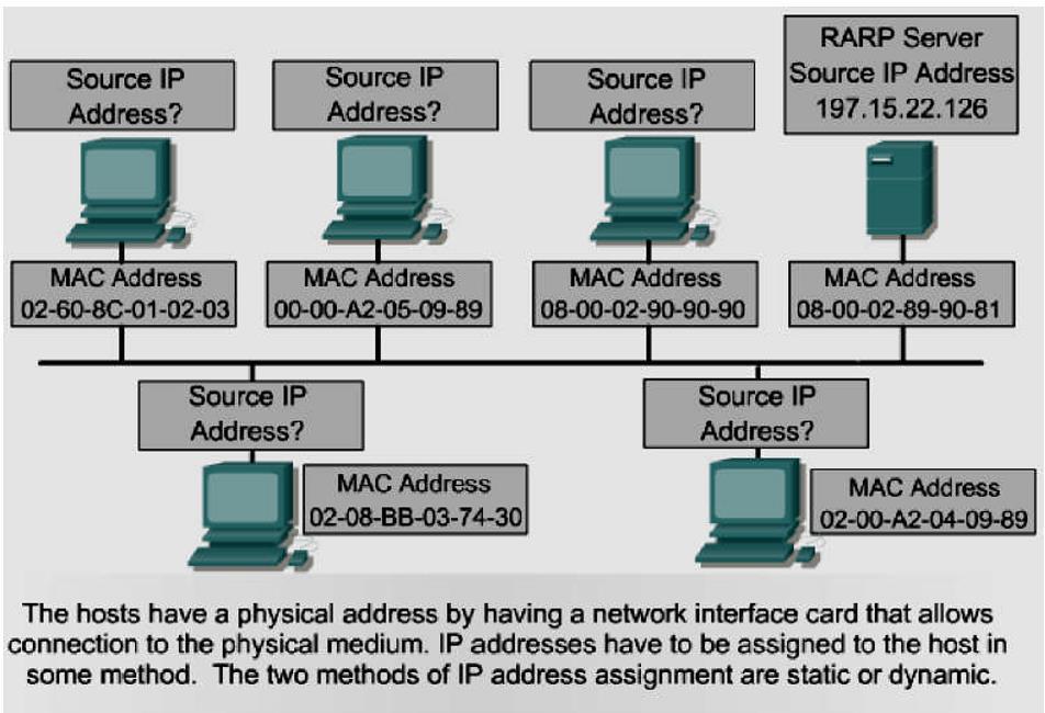 not to operate properly. As shown in Figure 4 Assigning IP Addresses, the hosts have a physical address by having a network interface card that allows connection to the physical medium.