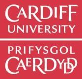 iserv Partners Welsh School of