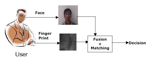 Fig 4: Fusion can be accomplished at various levels in a biometric system.