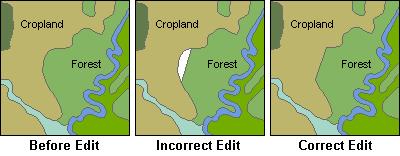Editing coincident features The spatial relationship between two polygon features is distorted when edited incorrectly.