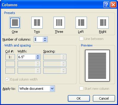 The Columns Tool on the Page Layout Tab of the Ribbon includes several popular options