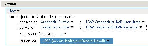1 In the Administration Console, click Access Manager > Access Gateways > Edit > DAL > Dallistener > Protected Resources. 2 In the Protected Resource List, click sales_page.