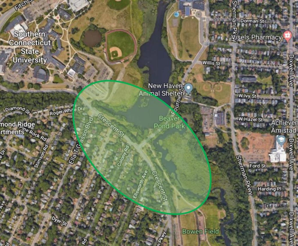 METHODOLOGY 2. Study area Figure. The satellite map of Beaver Pond Park (41.329522, -72.