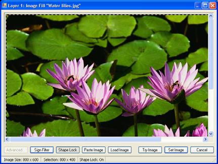 Importing Clipboard Images Images previously copied to the Windows Clipboard can also be used to fill a background Layer