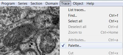 the trace name, color, and shape. So you can set up your palette in advance and click on what palette square you need for each type of trace you are making.