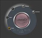 Upgrade Software Function Action Feedback Download latest software Put USB in Congo - Go to login screen www.avabcontrol.com Save the file "congo.