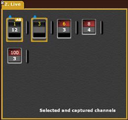 Channel View Format - Selected And Captured Selected and captured channels