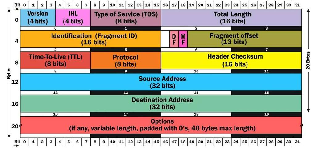 The Layer 3 packet IP IP.