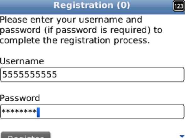The password is included in the registration email received from Mobile Connect.