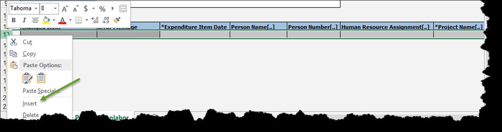 11. Since this is a two line costing entry, a second line will need to be added. Add lines to the spreadsheet above Line 13. Right click on Line 13, and click Insert. 12.