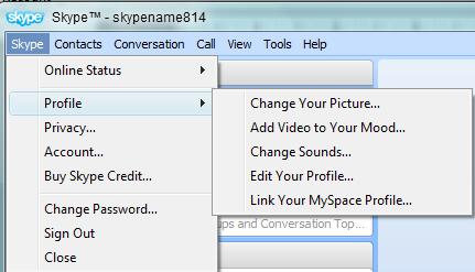 Step 7: In order to edit your profile and change your picture, click left 1x on Skype Profile