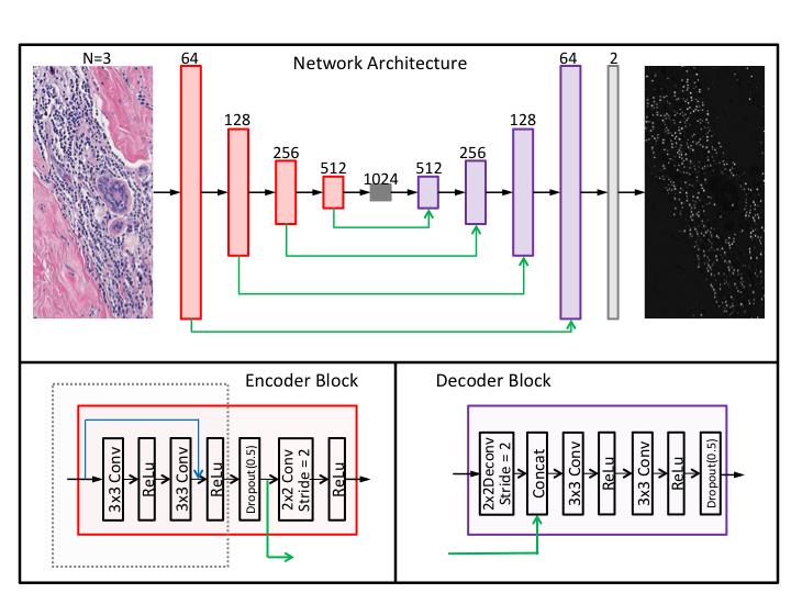 Fig. 1. The overall architecture of the whole network and two key elements, encoder blocks and decoder blocks. The bridge block, i.e., the solid dark gray box in the middle of the network, has the same structure as part of the encoder block, labelled in the black dot box.