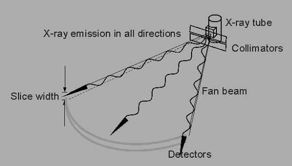 Instrumentation Beam collimators: 1 st collimator: width ~45º 2 nd
