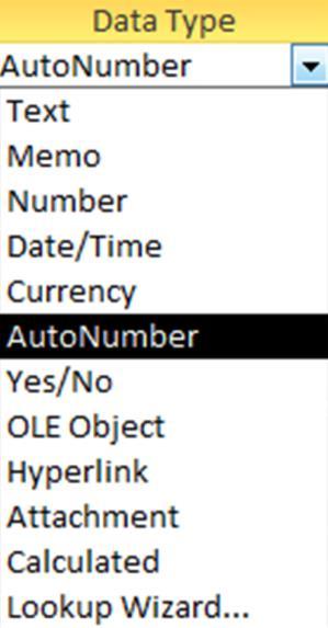 Page 3 of 7 Overview of data types Attribute data types (explain these ones) o Text o Number o Date/Time o Currency o AutoNumber o Attachment i.e. this is used to store images for A3 How to store non-text information e.