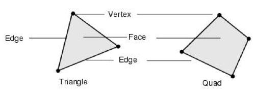 3D Modeling Vertices, edges, and faces are the basic components of polygons.