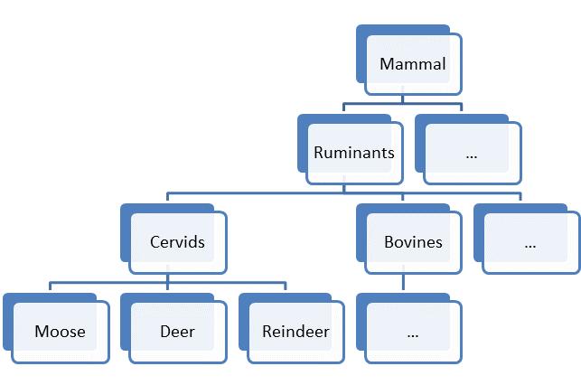 Note that this hierarchy is an IS-A hierarchy. A deer IS-A cervid. In turn, a cervid IS-A ruminant, and so forth.