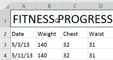 However, Excel provides many other fonts you can use to customize your cell text.
