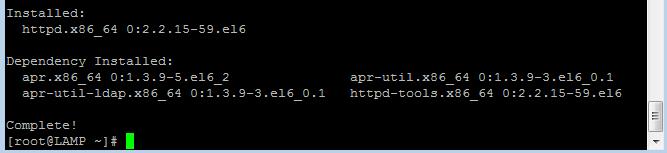 command and press [Enter]: yum y install httpd