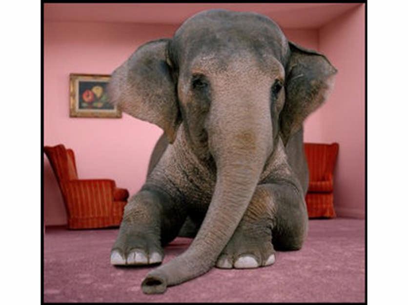 The Elephant in the Room: Forced updates and