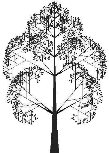 Figure 1. 2-dimensional tree model with and without leaves.