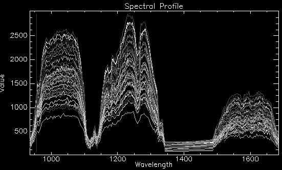 The image information and spectral information of 1236nm band Figure 3.
